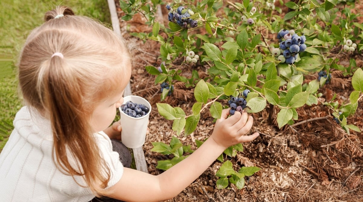 Портрет человека
