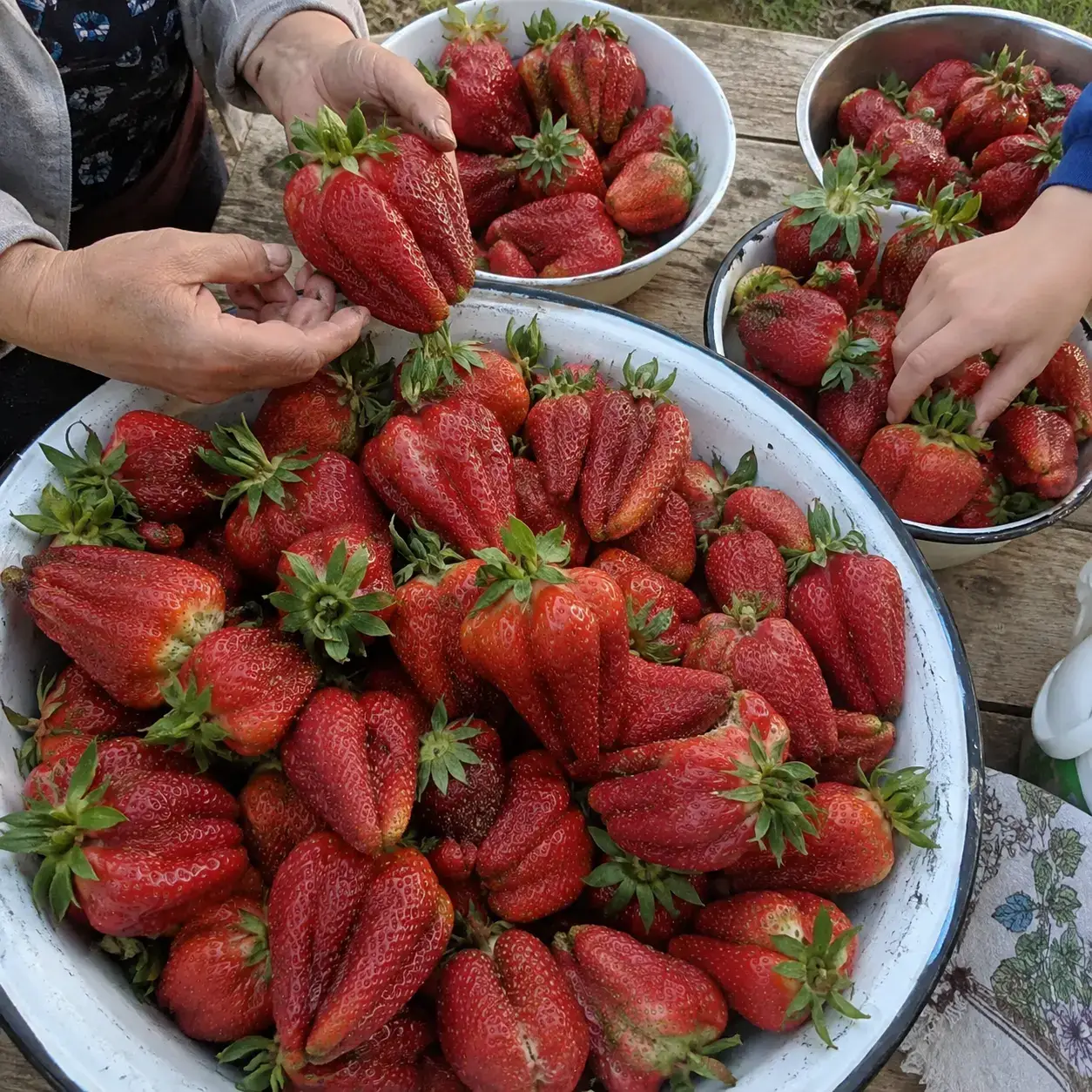 Тази стиглої полуниці Гранде